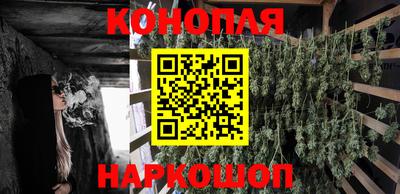скорость Обь